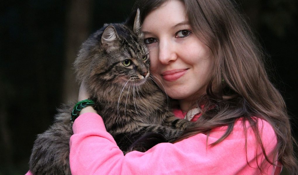lovable companions