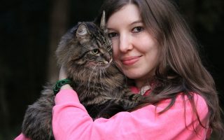 lovable companions